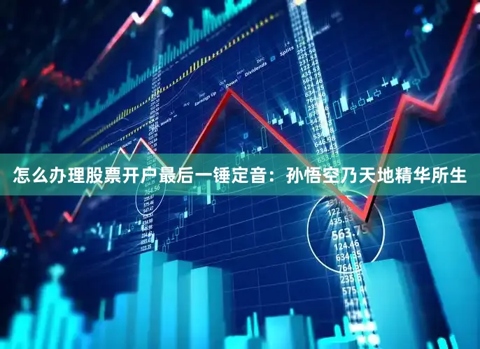 怎么办理股票开户最后一锤定音：孙悟空乃天地精华所生