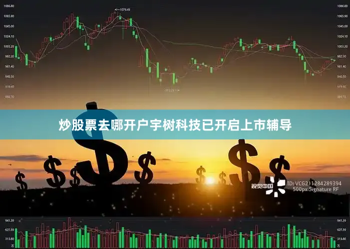 炒股票去哪开户宇树科技已开启上市辅导