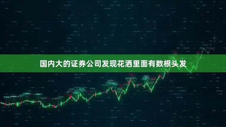 国内大的证券公司发现花洒里面有数根头发
