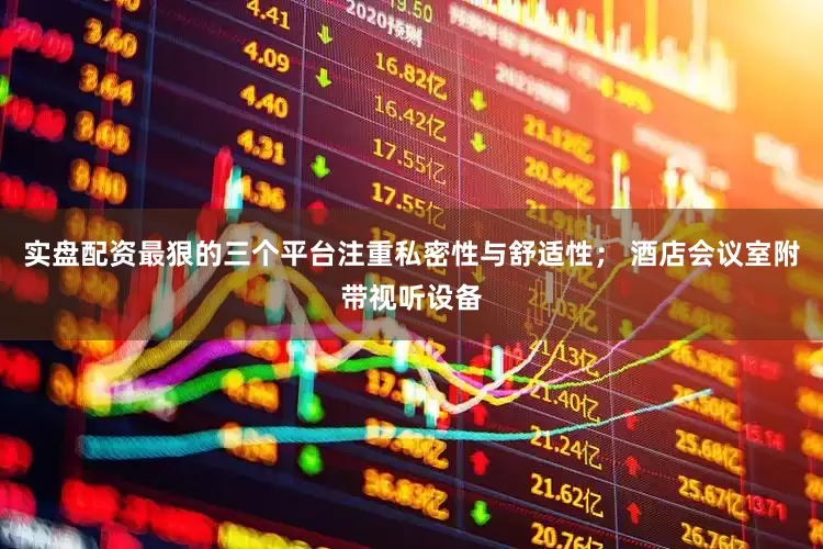 实盘配资最狠的三个平台注重私密性与舒适性； 酒店会议室附带视听设备